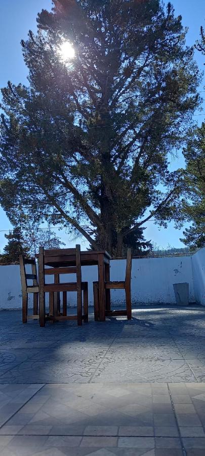Pinto Terraza Vandrarhem Esquel Exteriör bild